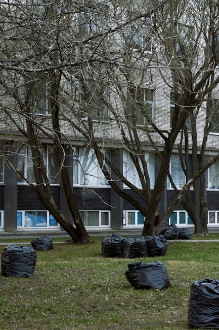 The image shows a residential area with several large, leafless trees in the foreground, their branches extending across the scene. At the base of the trees, multiple black rubbish bags are scattered on a patch of grass, some positioned closer to the viewer and others further back, near the building. The bags appear to be filled with household waste and are made of a crinkled, plastic material. Behind the trees, a multi-story brick building with a combination of white and dark-colored window frames is visible, featuring large ground-floor windows that reflect the surroundings. The building's exterior includes a section with a dark panel finish, contrasting with the light brickwork above. The scene is illuminated by natural daylight, suggesting an overcast sky, creating a neutral, professional tone suitable for describing on-site waste clearance. The presence of rubbish bags indicates a recent or ongoing rubbish removal process, potentially undertaken by an independent waste disposal service like House Clearance Colliers Wood, to facilitate property clearance or regular rubbish collection outside an urban residential setting.
