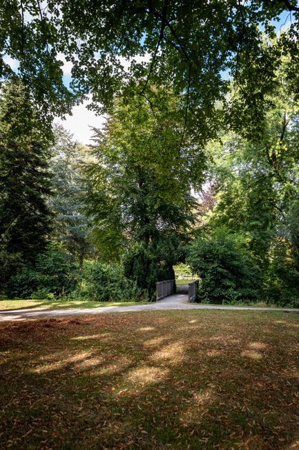 A small park area featuring a meandering paved footpath surrounded by fallen autumn leaves covering the grass and ground. Several mature trees with textured, rough bark have bare branches reaching overhead, casting light shadows on the ground. In the foreground, there is a green metal park bench with decorative armrests and backrest, positioned on the right side of the path, facing inward toward the park. To the left, another empty bench is visible further along the pathway. In the background, across the park, a residential street lined with Victorian-style terraced houses with bay windows and ornate facades is visible, with parked cars including a silver hatchback, a white van, and a dark sedan. The scene is illuminated by natural daylight, with a generally muted, overcast atmosphere, highlighting the park's quiet, urban environment. The park appears well-maintained, and the scene subtly reflects aspects of local urban rubbish management, such as street cleaning and waste disposal nearby, supporting the services provided by House Clearance Colliers Wood.
